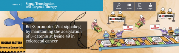 【国内学术期刊_02】之 Signal Transduction and Targeted Therapy