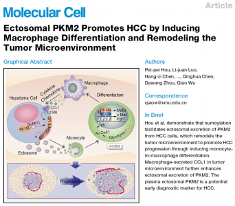 厦门大学：微囊泡PKM2通过诱导巨噬细胞分化和重塑肿瘤微环境促进肝癌进展