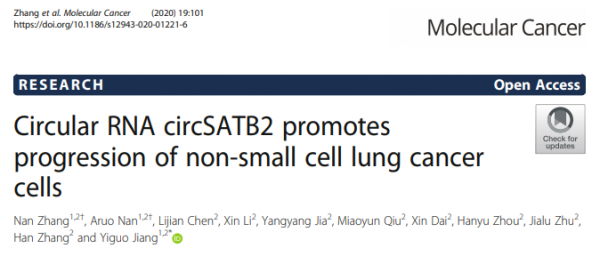 广州医科大学：环状RNA circSATB2经外泌体促进非小细胞肺癌的发展