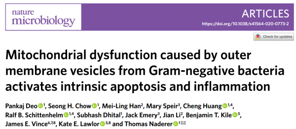 ​Nature子刊：细菌的外膜囊泡引起的线粒体功能异常，激活宿主细胞凋亡和炎症