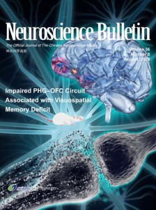 【国内学术期刊_06】之 Neuroscience Bulletin