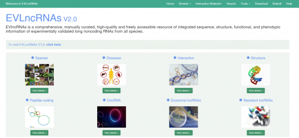 德州学院：EVLncRNA 2.0——经过实验验证的功能性长链非编码RNA的数据库