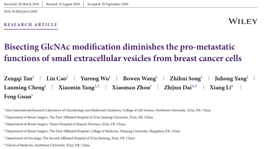 西北大学关锋团队揭示糖基化修饰抑制乳腺肿瘤细胞外囊泡的生物学功能