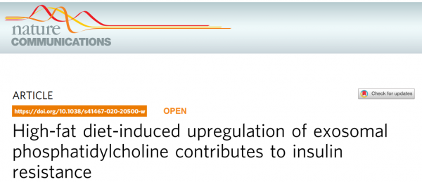 Nature子刊：外泌体脂质谱分析，揭示高脂饮食诱导胰岛素抵抗机制