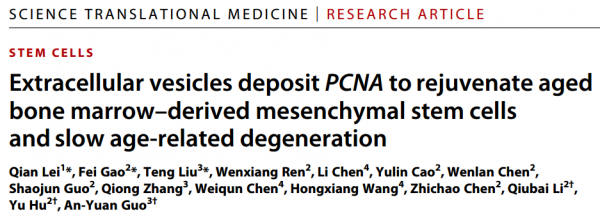 Science子刊：新生儿脐带MSCs来源的EVs可逆转衰老