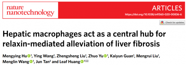 Nature Nanotechnology：松弛素通过肝巨噬细胞外泌体介导肝纤维化的缓解