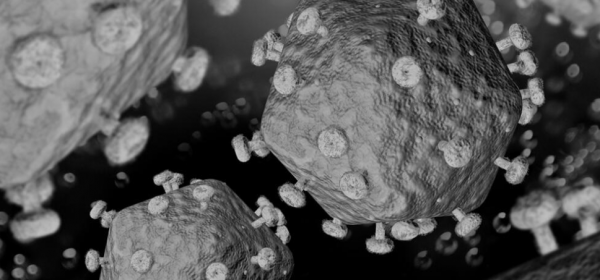 【J Virol】HIV病毒诱导蛋白激酶增加促炎性细胞外囊泡的产生