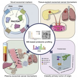 科学家开发了基于细胞外囊泡的蛋白质组学方法用于癌症的液体活检