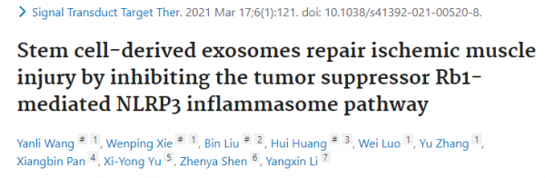 即时IF=17.32苏州大学李杨欣教授团队：脐带间充质干细胞外泌体环状RNA cPWWP2A修复缺血组织损伤