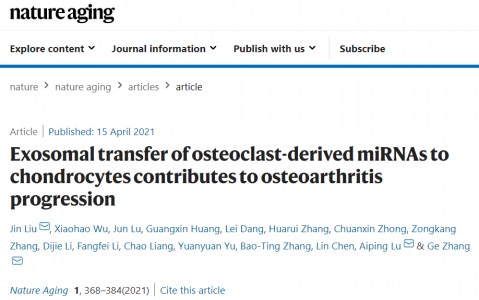 Nature Aging：香港浸会大学发现外泌体调控骨关节炎进展的分子机制