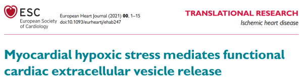 Eur Heart J：心肌缺氧应激介导功能性心脏细胞外囊泡释放