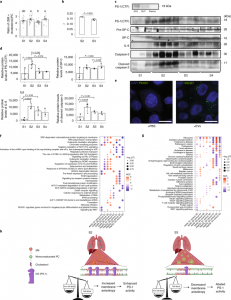 Nature Metabolism：COVID-19不同阶段细胞外囊泡的多组学和功能研究