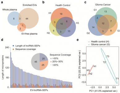 【JEV】中科院生物物理所：LncRNA编码的微蛋白——细胞外囊泡中的一种新形式货物