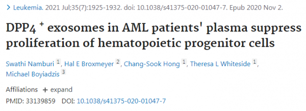 Leukemia：急性髓性白血病患者血浆中的DPP4阳性外泌体抑制造血祖细胞的增殖