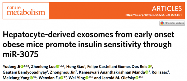 Nature Metabolism：外泌体miRNAs在早期和慢性肥胖中的不同作用