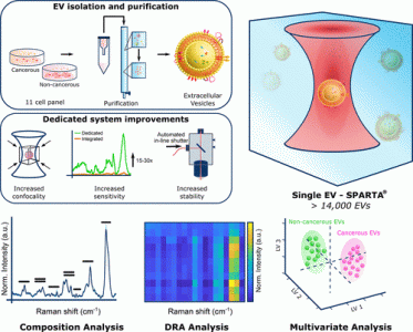 ACS Nano：单粒子自动拉曼捕获分析乳腺癌细来源生的细胞外囊泡