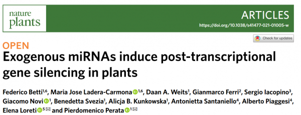 aNat Plants：植物之间传递miRNA并诱导转录后基因沉默