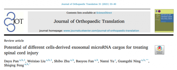J Orthop Transla：不同细胞的外泌体源性microRNA货物在治疗脊柱损伤中的潜力