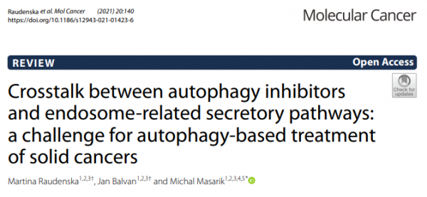 【综述】Mol Cancer：自噬抑制剂与细胞外囊泡分泌间联系及其在肿瘤治疗中的挑战