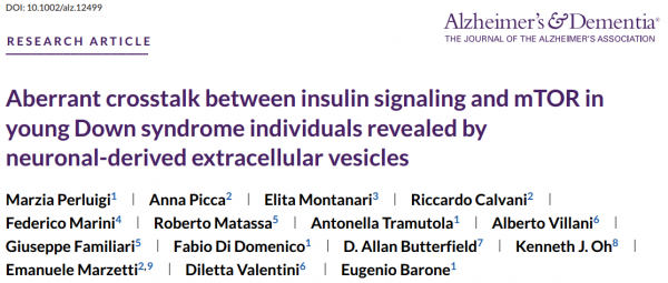 Alzheimers Dement：神经元衍生的细胞外囊泡揭示年轻唐氏综合征个体中胰岛素/mTOR信号通路的异常