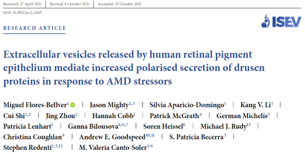 JEV：人视网膜色素上皮释放的EVs介导玻璃疣蛋白极化分泌增加，以响应AMD压力源