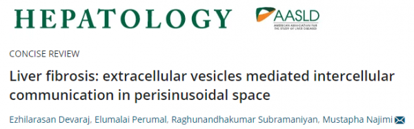【综述】Hepatology：细胞外囊泡介导肝纤维化过程中窦周间隙的细胞间通讯