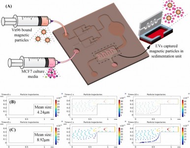 Biosens Bioelectron：基于磁性粒子的液体活检芯片 用于细胞外囊泡的分离和基因扩增表征