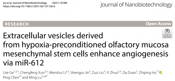 Journal of Nanobiotechnology: 低氧预处理嗅黏膜间充质干细胞通过胞外囊泡介导血管生成的分子机制