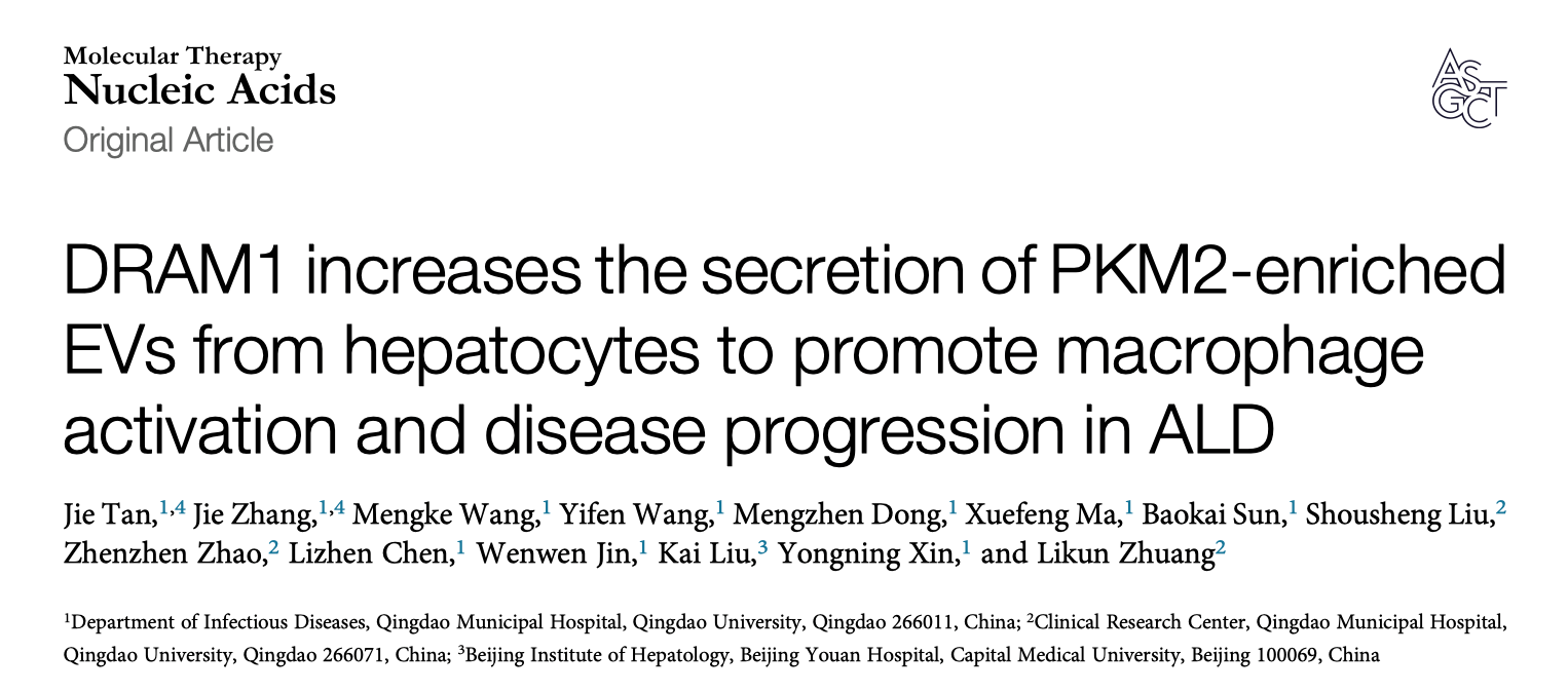 Mol Ther Nucleic Acids|青岛市市立医院辛永宁/庄立琨组: 揭示细胞外囊泡加剧酒精性肝病进程的新机制