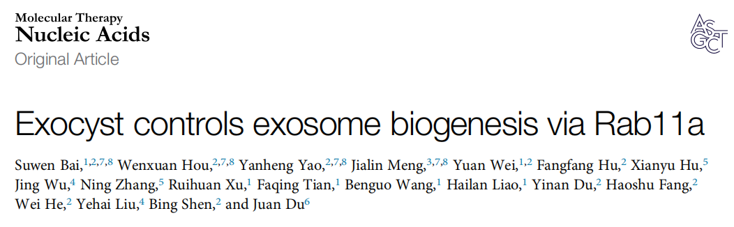 Molecular Therapy-Nucleic Acid |香港中文大学（深圳）医学院杜鹃教授团队：Exocyst与Rab11a结合调控外泌体生物发生