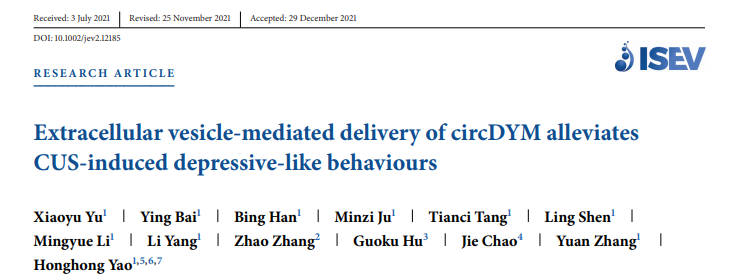JEV | 东南大学医学院姚红红教授课题组：细胞外囊泡递载circDYM缓解小鼠抑郁样行为