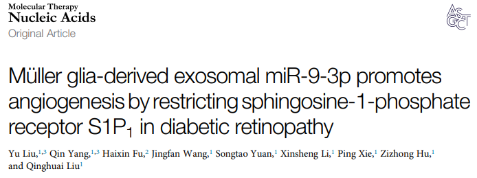 MolTher Nucleic Acids | 南京医科大学第一附属医院：Müller细胞来源的外泌体促进视网膜新生血管化