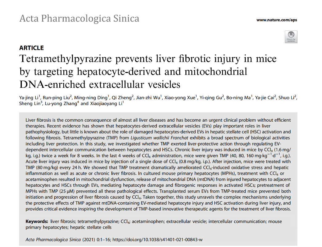 Acta Pharmacol Sin |北京中医药李晓骄阳教授团队：细胞外囊泡运载的线粒体DNA 在肝纤维化及药物治疗中扮演重要角色