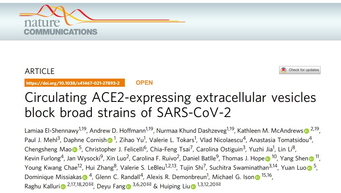 Nature子刊：外泌体ACE2诱捕新冠病毒，可预防和治疗不同SARS-CoV-2突变株的感染