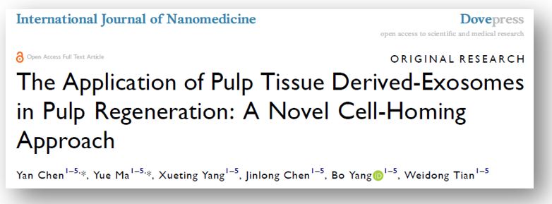 INT J NANOMED |四川大学华西口腔医院田卫东教授团队：基于牙髓组织外泌体的牙髓再生新策略