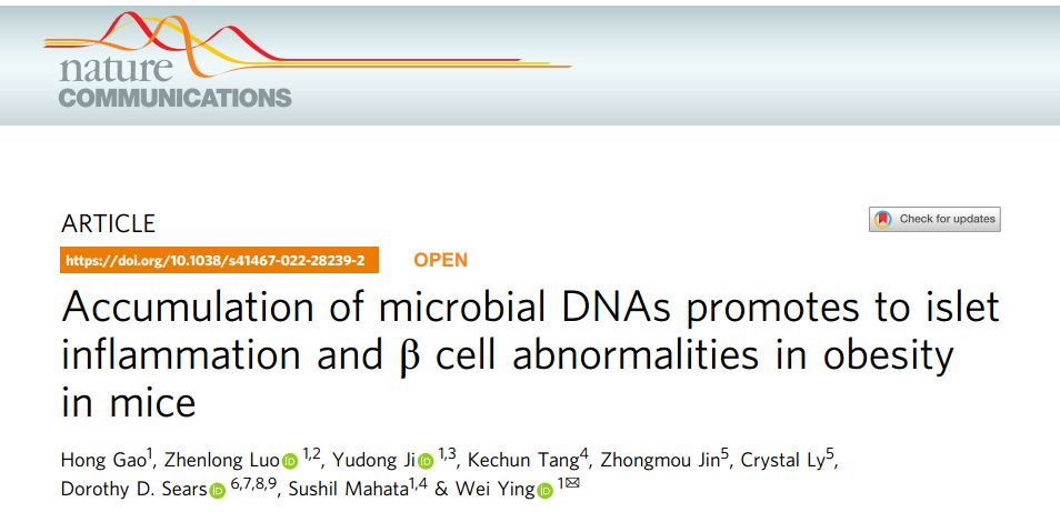 Nature子刊：肥胖导致肠道菌群通过EVs传递细菌DNA至β细胞，导致胰岛炎症和胰岛素分泌异常