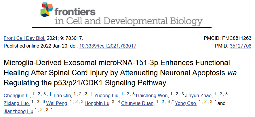 Front Cell Dev Biol中南大学湘雅医院胡建中、吕红斌教授团队: 小胶质细胞来源的外泌体调控脊髓损伤后神经功能修复