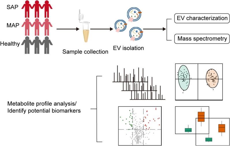 J Nanobiotechnology | 温州医科大学刘飞团队：定量代谢组学分析血浆细胞外囊泡用于急性胰腺炎的检测