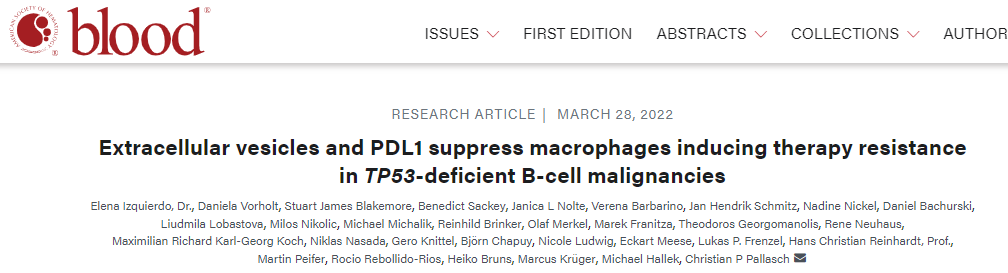 Blood：细胞外囊泡和PDL1抑制巨噬细胞导致TP53缺陷型B细胞恶性肿瘤的治疗抵抗