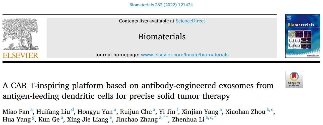 Biomaterials丨河北大学张金超/南方医科大东莞医院李振华：基于抗体工程化树突状细胞外泌体的类CAR T疗法实体瘤治疗