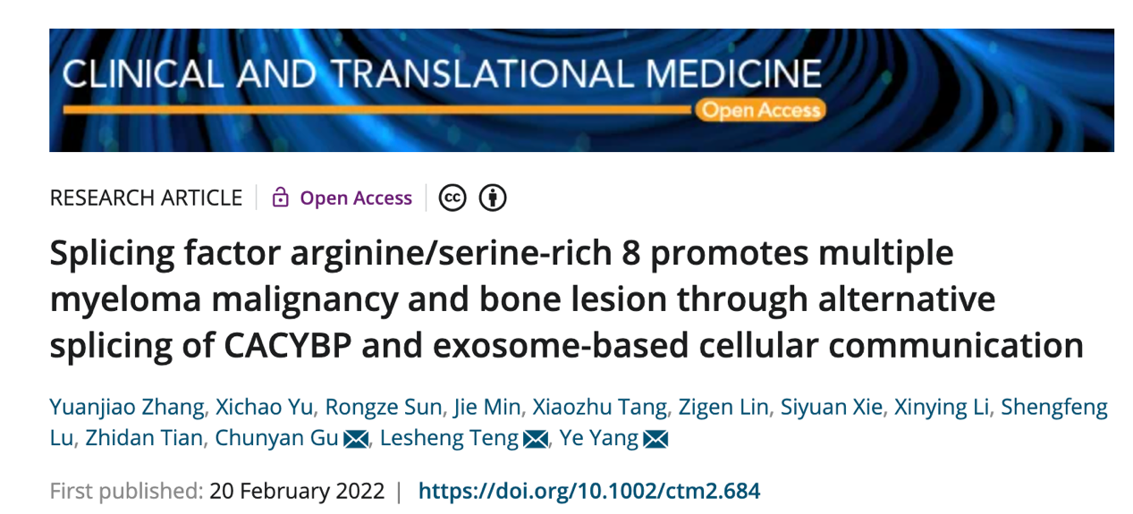 Clin TranslMed|南京中医药大学杨烨、顾春艳团队：SFRS8调控选择性剪接和外泌体通讯促进多发性骨髓瘤进展和骨病变