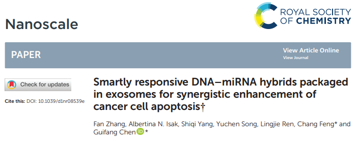 Nanoscale | 上海大学生命科学学院陈桂芳教授团队：包装在外泌体中的智能响应性DNA-miRNA杂交体协同增强癌细胞凋亡