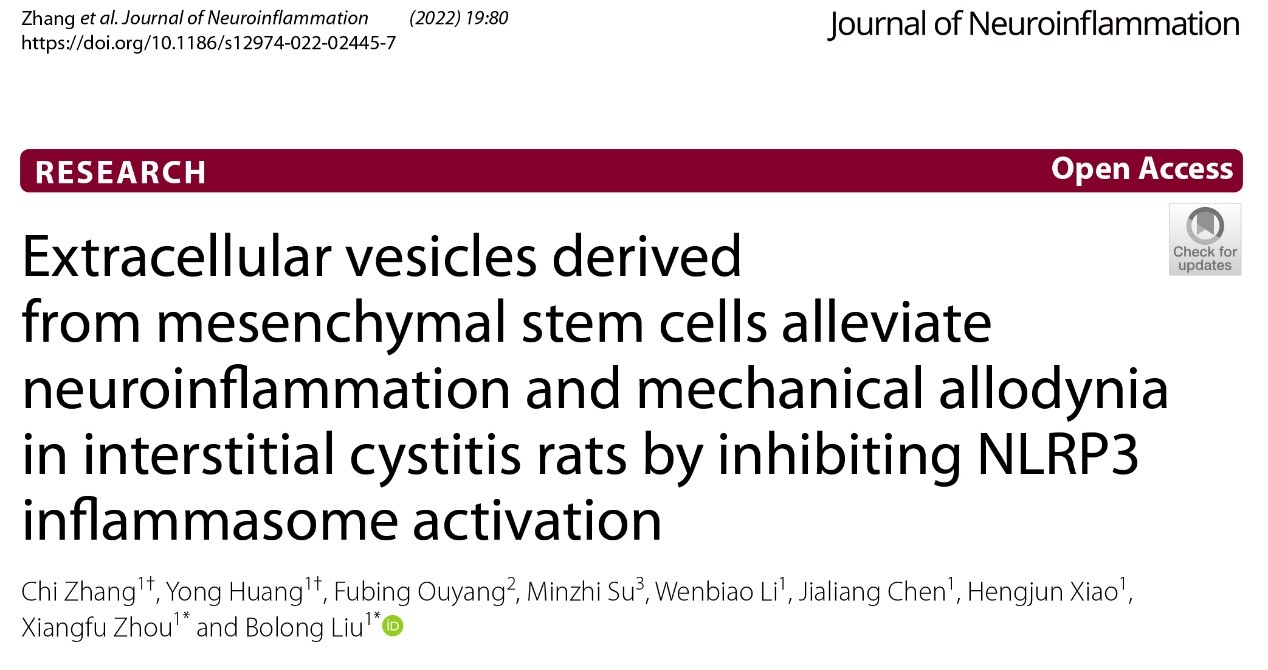 J Neuroinflam | 中山大学附属第三医院周祥福、刘柏隆团队：鞘内注射间充质干细胞来源细胞外囊泡治疗间质性膀胱炎