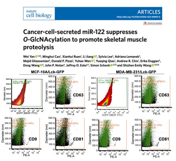 Nat Cell Biol | 美国加州大学圣迭戈分校的ShizhenEmily Wang 团队: 癌细胞分泌的miR-122通过抑制蛋白质O-糖基化修饰促进骨骼肌蛋白质水解