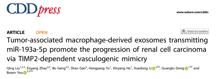 Cell Death & Disease | 哈尔滨医科大学附属第二医院尤泊森、董广璐、李学东团队：肿瘤相关巨噬细胞外泌体传递miR-193a-5p介导TIMP2依赖的血管生成拟态促进肾细胞癌的进展