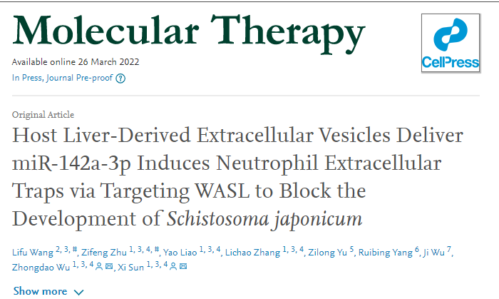 Mol Ther | 中山大学中山医学院吴忠道教授团队：肝组织来源的胞外囊泡诱导中性粒细胞外捕获网形成抑制血吸虫的生长发育