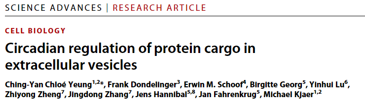 Sci Adv：细胞外囊泡中蛋白质货物的昼夜节律调节