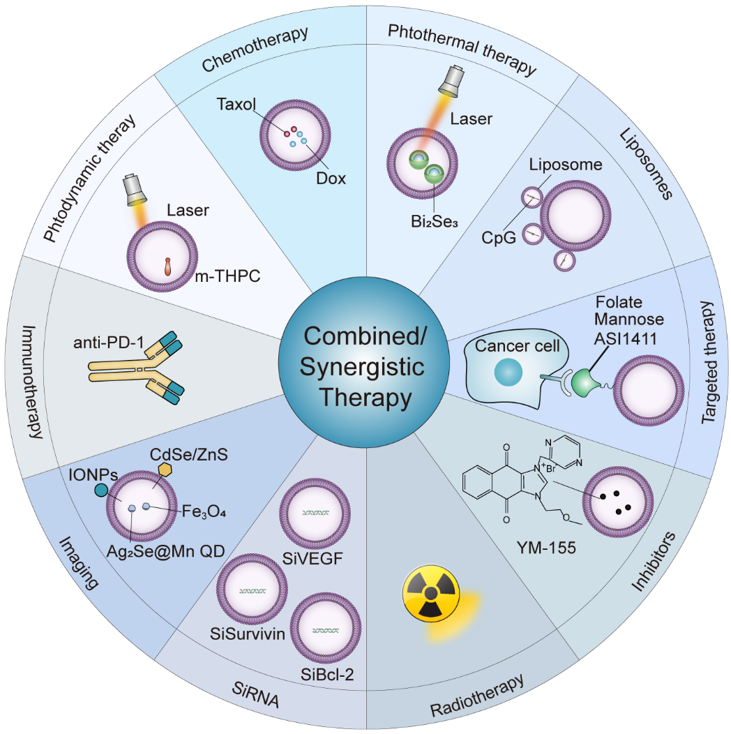 J Nanobiotechnology|华中科技杨坤禹、华中农业金红林团队：微颗粒的生物合成、基本特征及在肿瘤治疗中的应用