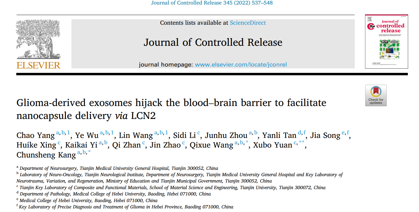 J Control Release | 胶质瘤来源的外泌体能够通过调控LCN2的表达影响纳米材料跨越血脑屏障