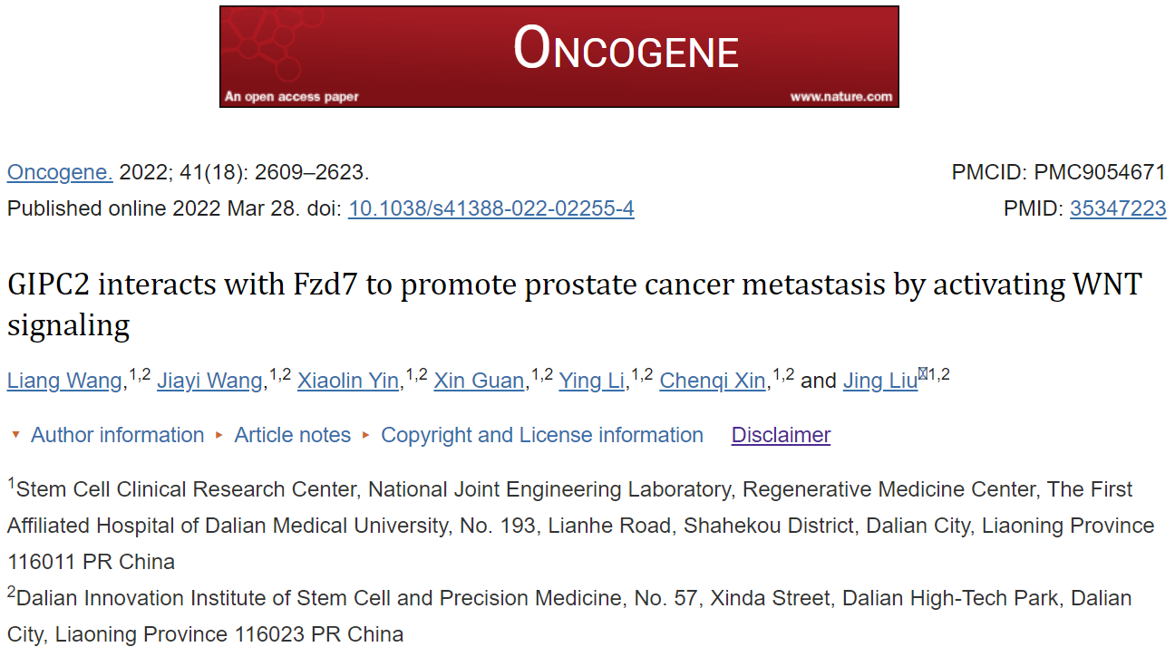 Oncogene | 大连医科大学附属第一医院刘晶教授团队：鉴定外泌体新蛋白GIPC2促进前列腺肿瘤转移